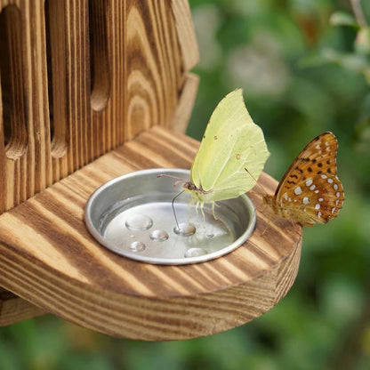 butterflyhouse